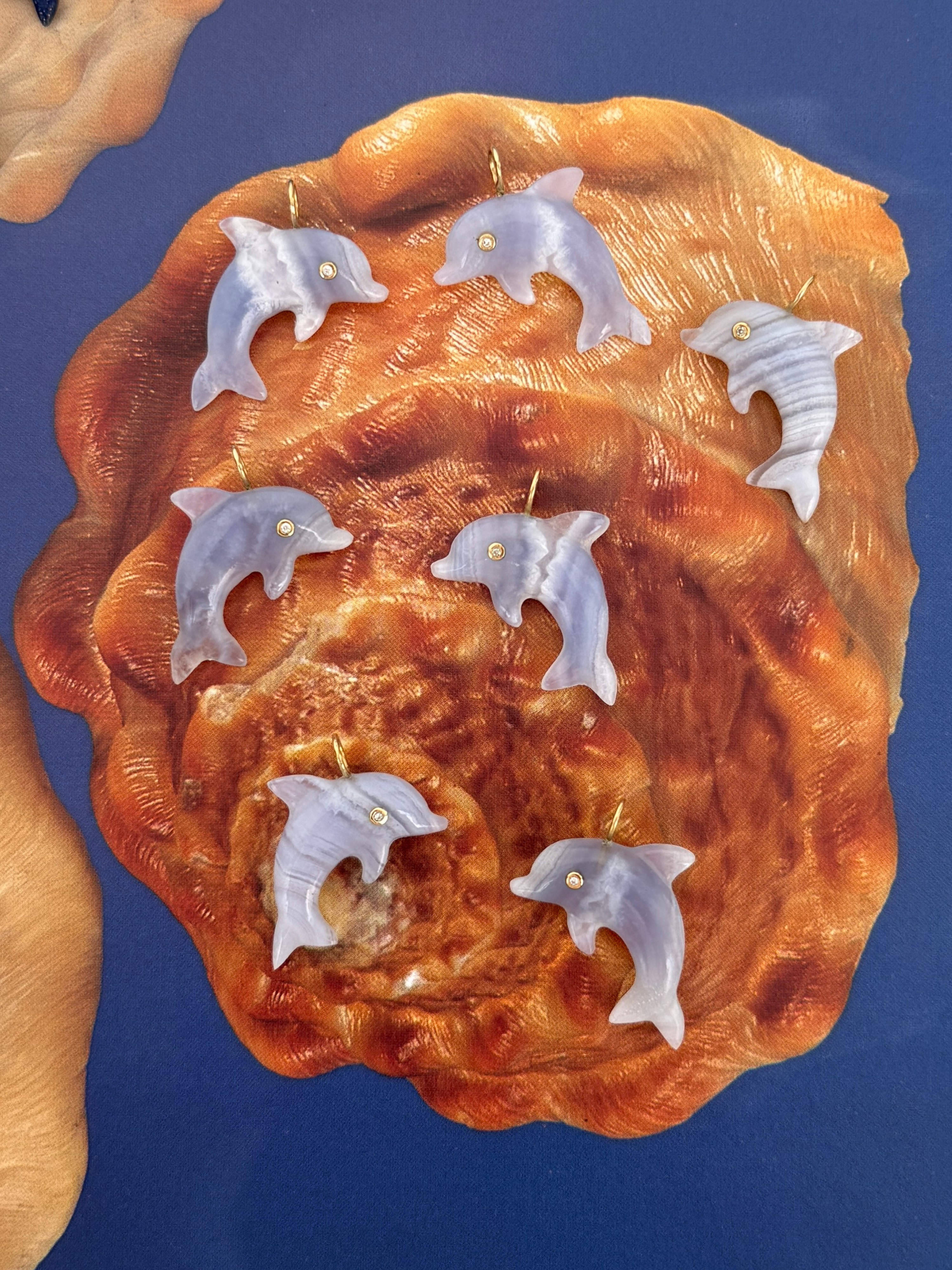 Dolphin Talisman Charm Lace Agate